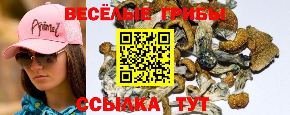 Галлюциногенные грибы MAGIC MUSHROOMS Балашиха