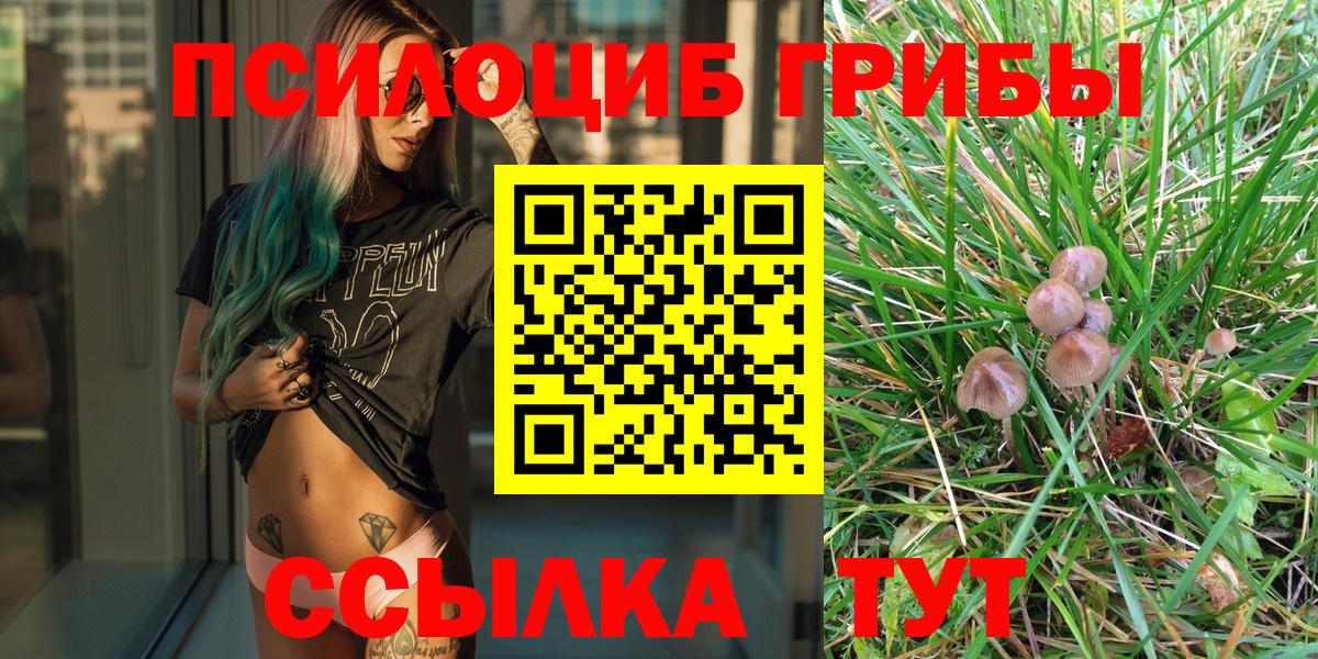 Балашиха  Псилоцибиновые грибы Cubensis  Псилоцибиновые грибы Magic Shrooms  Вход с VPN 